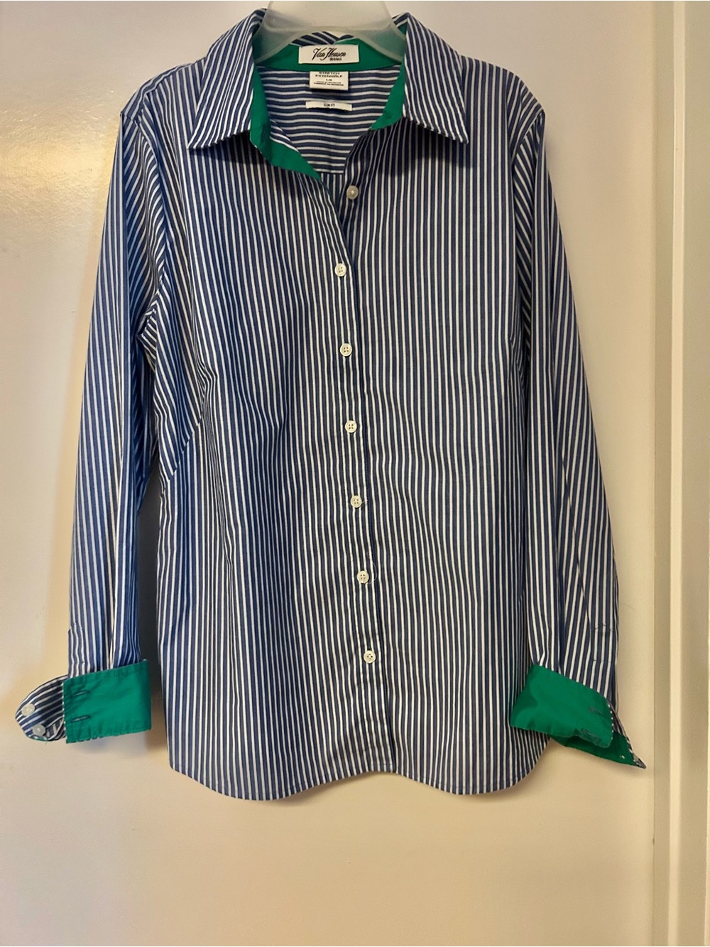 Van Heusen Women’s Blue Stripe Button-Down Shirt with Green Trim